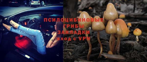 ешки Надым